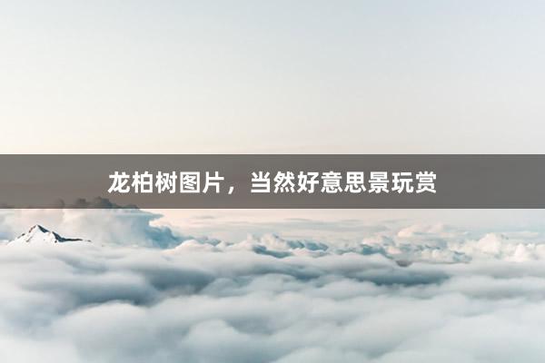 龙柏树图片，当然好意思景玩赏