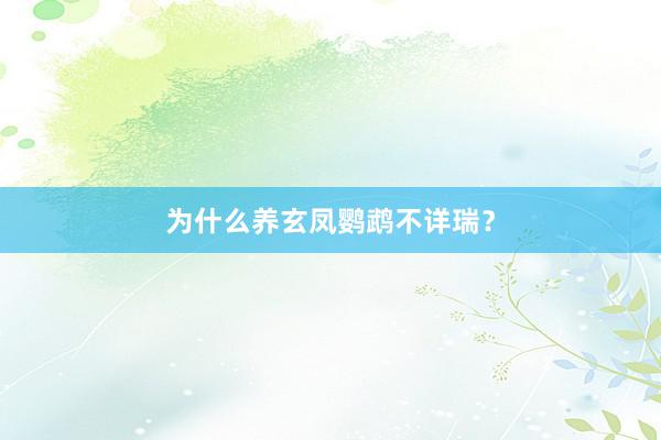为什么养玄凤鹦鹉不详瑞？